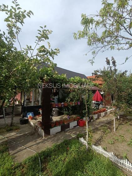 Casă de vanzare cu 4 camere 107 mpu pivnita anexe curte gradina Sebes - 14