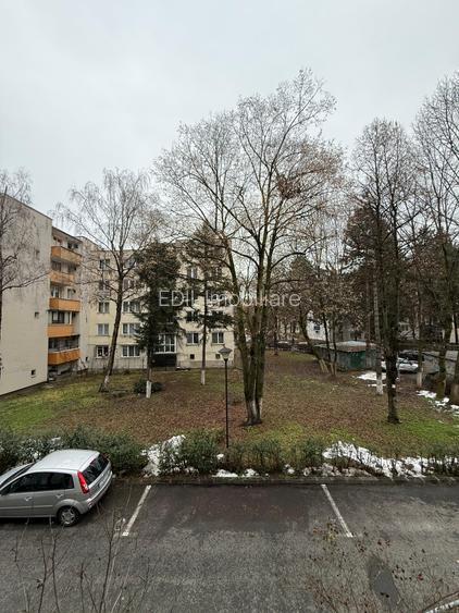 Apartament de închiriat, 3 camere, 105 mp, Plopilor zona Parcul Iuliu Hațieganu - 10