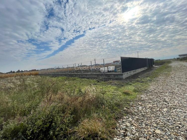 Teren de vanzare Harman - 2