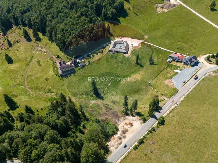 Teren 56599mp Dambovicioara / Soseaua DN 73Dealul sasului! - 13