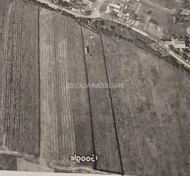 Ocazie, teren intravilan, 5.000 mp (50 euro/mp), Urseni, comision 0% - 2