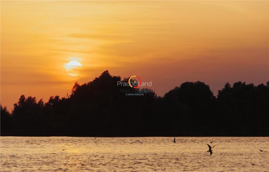 teren 1950mp cu casa batraneasca 45 mp - 5