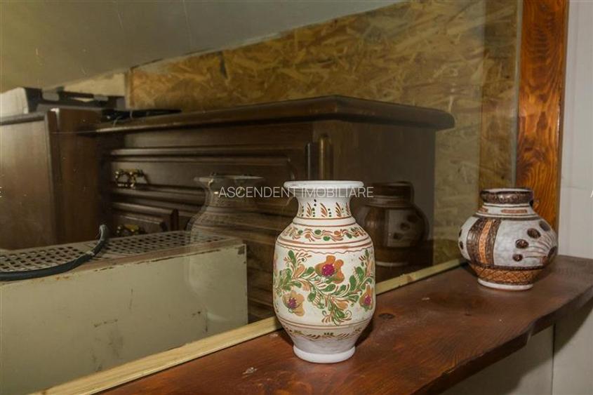 FILM! Constructie rustica tip Casa Verde, cu parau si panorama impresionanta, Mo - 13