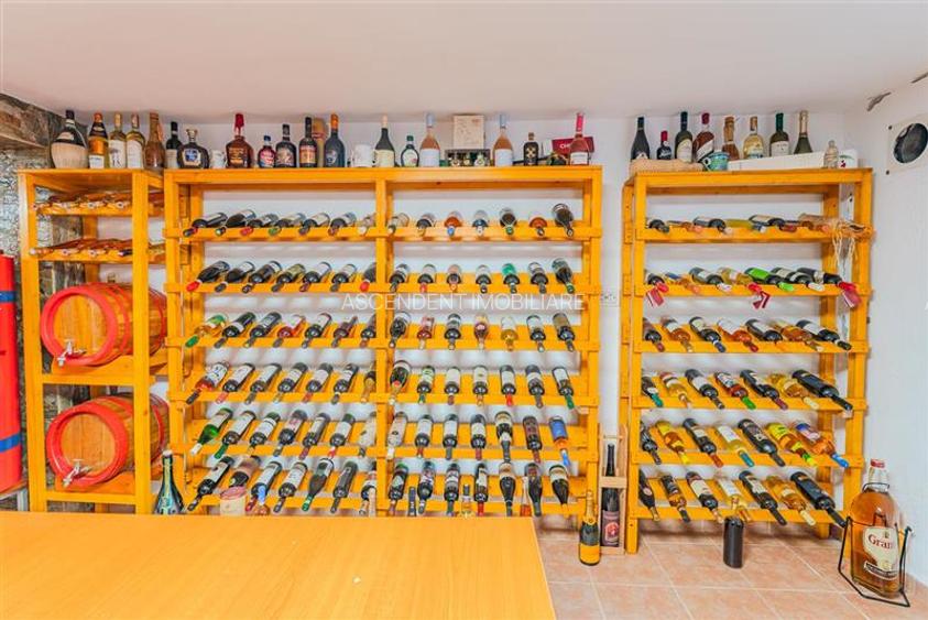 FILM! Resedinta cu identitate arhitecturala, 700mp teren, garaj 4X, Tractorul, B - 22