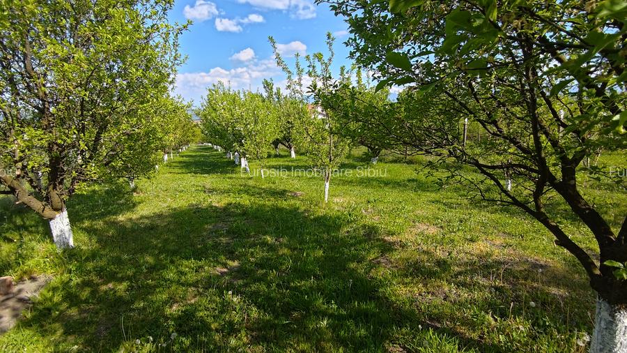 Teren intravilan 1000 mp in Sibiu Daia Noua - 3