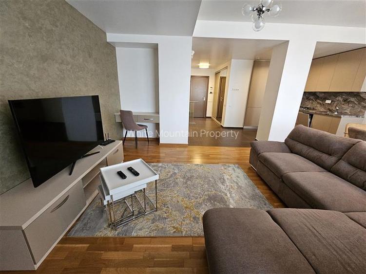 Apartament cu doua camere de inchiriat in Bellevue Residence - 25