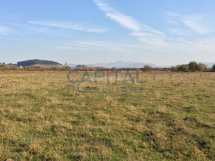 Teren de vanzare extravilan, Sanpetru - 4