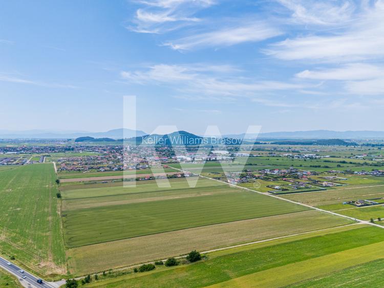 Teren de vanzare I 43 500 mp I Deschidere la drum - Harman - 12