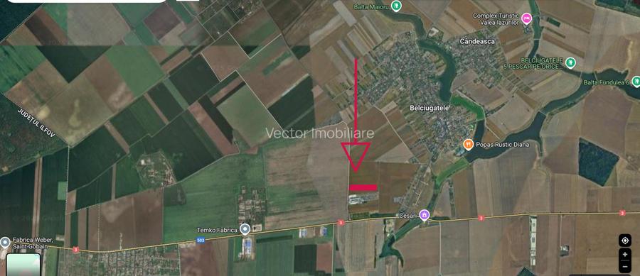 Teren intravilan Belciugatele*300 m de DN*Linie de tensiune medie*Plata in rate - 5