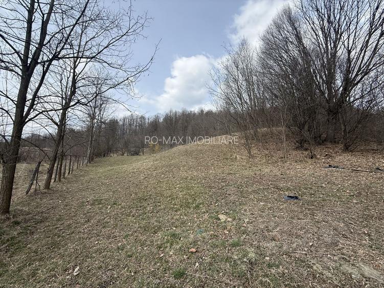 Teren 6040 mp la baza pădurii deschidere 40 ml - 13