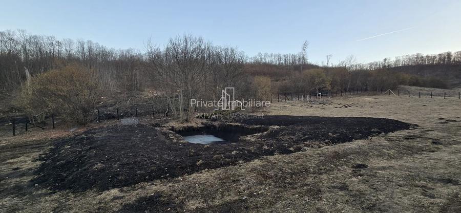 Teren de vanzare, 20.000Mp , Comuna Danes, drumul Crisului - 19