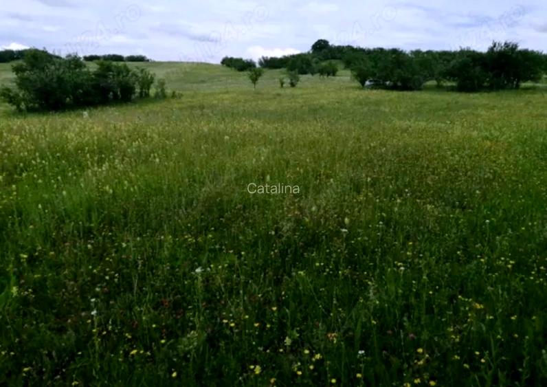 TEREN de vanzare, 4800 mp, in Posesti, judetul Prahova - 5