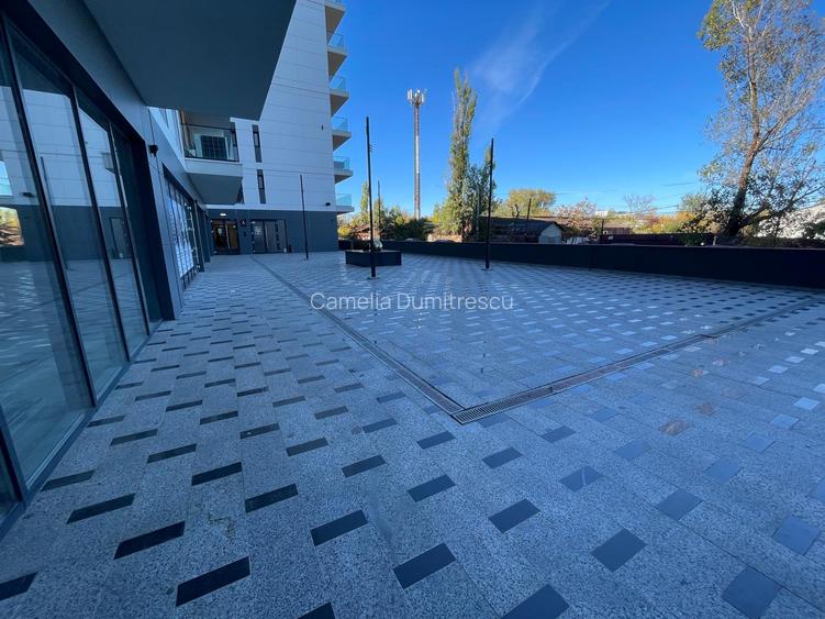 BANEASA-STRAULESTI-ANSAMBLU THE LEVEL - 16