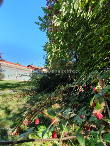 Vila S+P+1+M 650mp Paradisul Verde libera Vezi VIDEO - 9