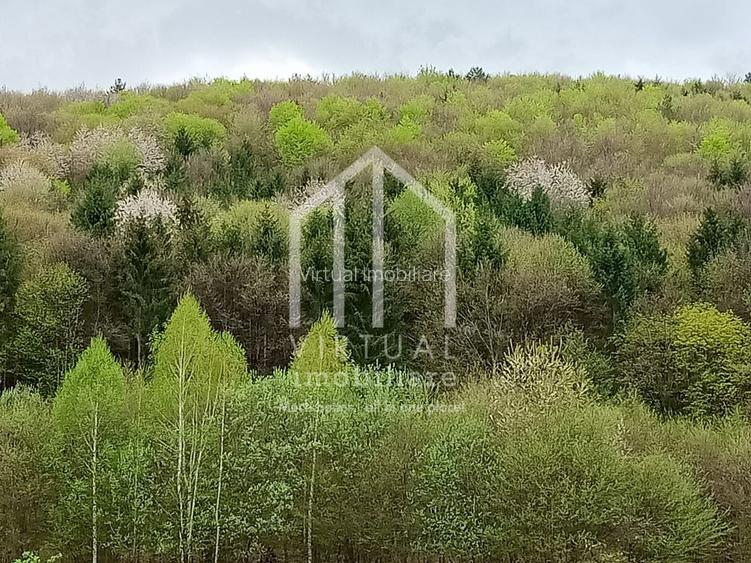 Teren intravilan de vanzare in Tocile, 3862 mp, priveliste spre padure - 10