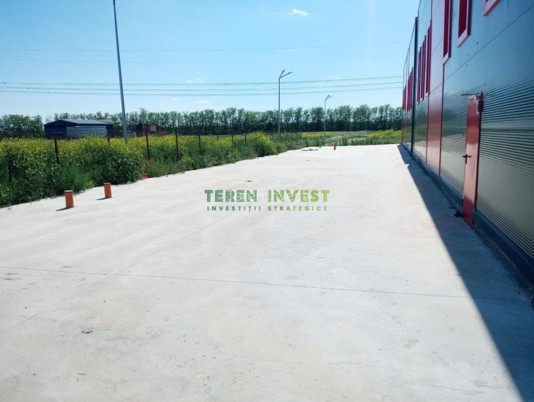 VANZARE HALA INDUSTRIALA - POPESTI LEORDENI - 9