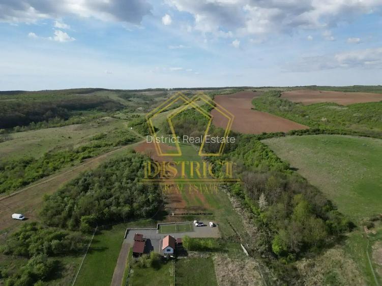 Casa de vacanta cu teren si padure de 3.8ha | Nadas | Herneacova - 6