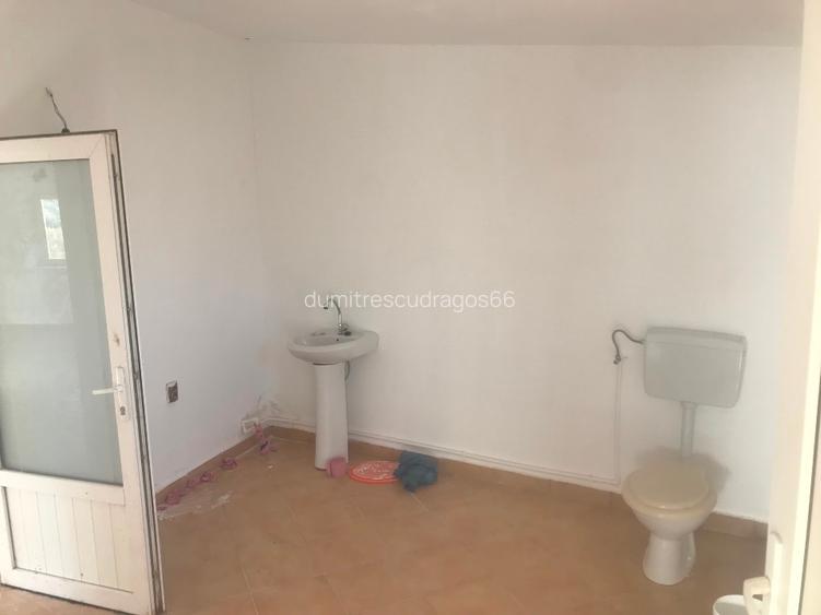 Casa (spațiu comercial) de vânzare Bălăceanu  - 6