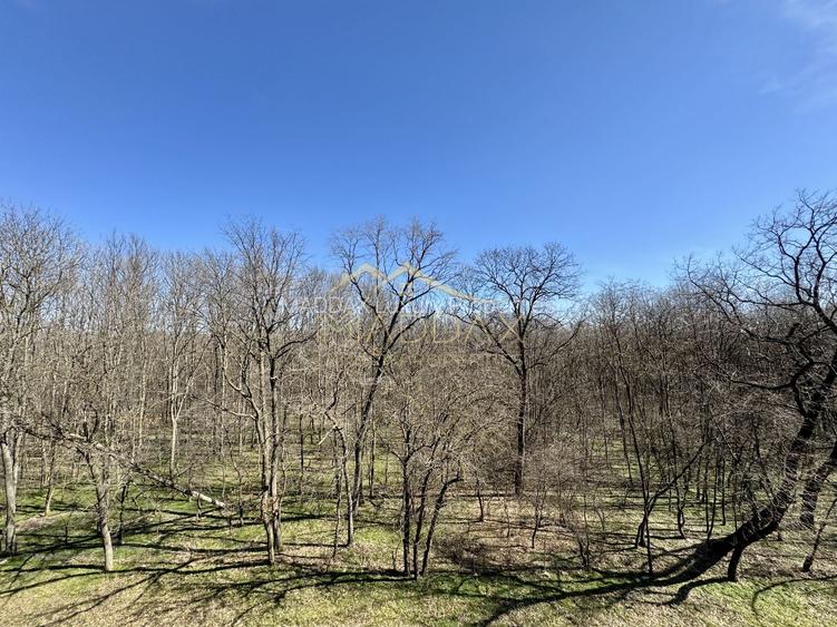 Apartament cu 4 camere *183mp* - Prima Inchiriere // Stejarii - Baneasa - 55