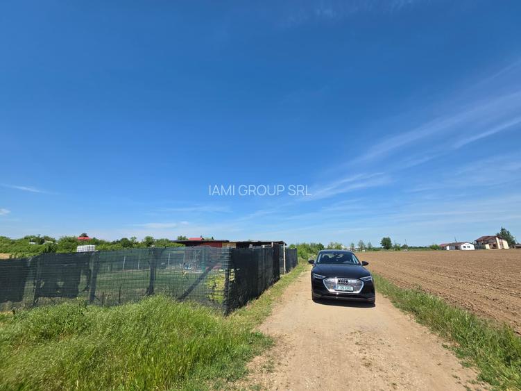 Teren cu livada perfect pentru CASA - 1.200 MP Sat Varlaam, Giurgiu - 8