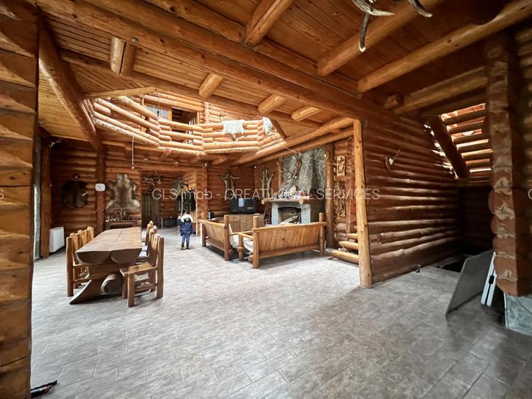 Cabana vânătorească din lemn cu vedere spectaculoasa, langa Castelul Cantacuzino - 10