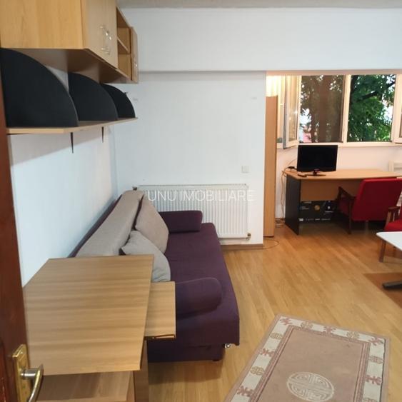 Apartament cu 1 camera - zona Nicolina - Sectia de Politie - 6