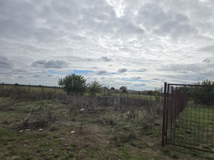 Amzacea- sat G. Scarisoreanu -Ferma zootehnica , 5,1 hectare - 7