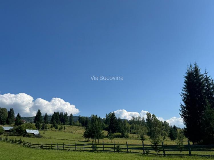 Vanzare 16700 - 9 loturi - Plaiul Sarului la sosea- microdezvoltare langa oras - 12