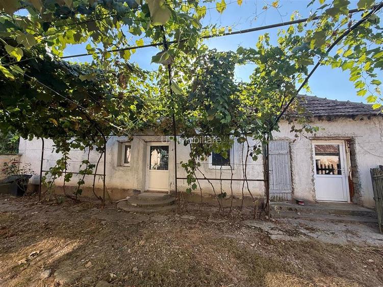 CASA CU TEREN 1500 MP | CHERESIG - 3