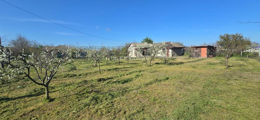 Exclusivitate-Vadu, zona centrala, casa 75mp, teren 1917 mp/31ml deschidere - 31