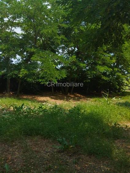 Vand casa mobilata, utilata, gradina generoasa, transport microbuz si tren spre - 12