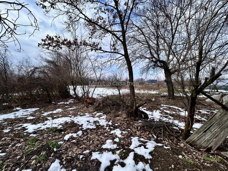 Casa 5 camere, cu 5.900MP curte + Livada, Darmanesti, Dambovita - 17