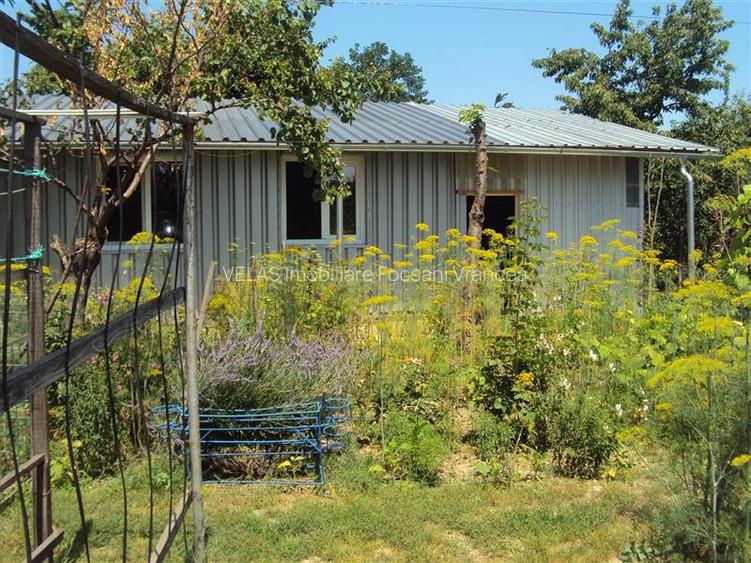 Vila Focsani, S+P+M, mobilata si utilata, CT si anexa - 18