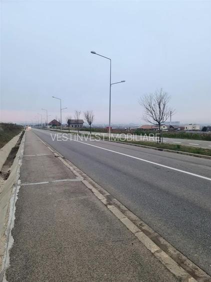 Teren 5096 mp extravilan Oncea/Episcopia Oradea - 4