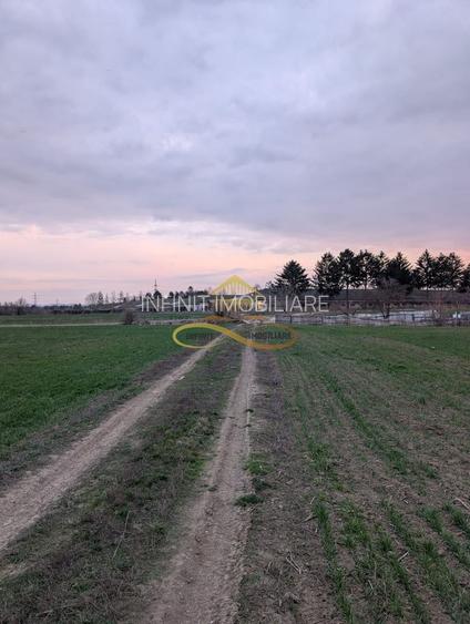 TEREN INTRAVILAN IN LILIECI, BACAU - 6