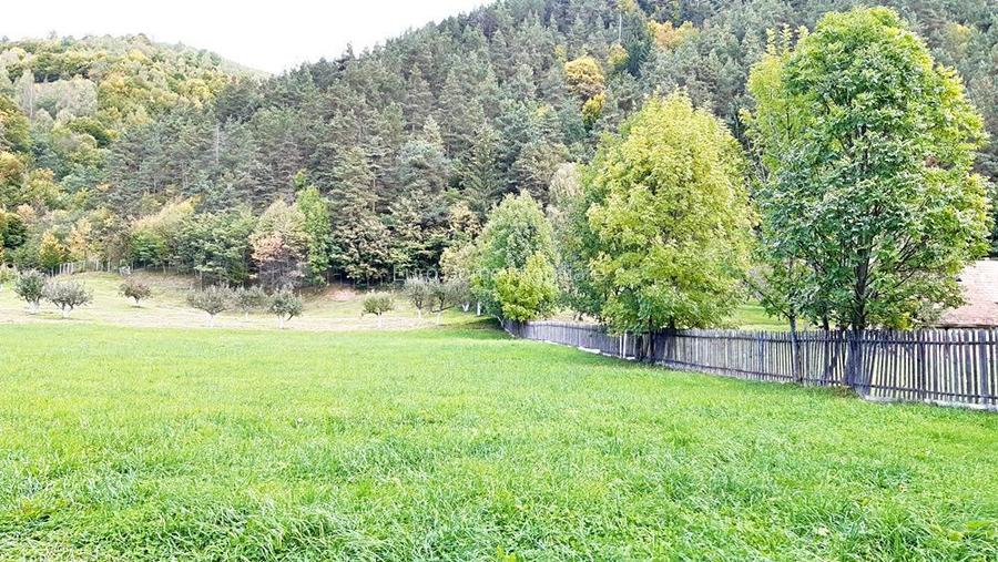 Teren superb de 16240mp, parcelabil, in Bran la intrare in Moeciu de Jos - 7