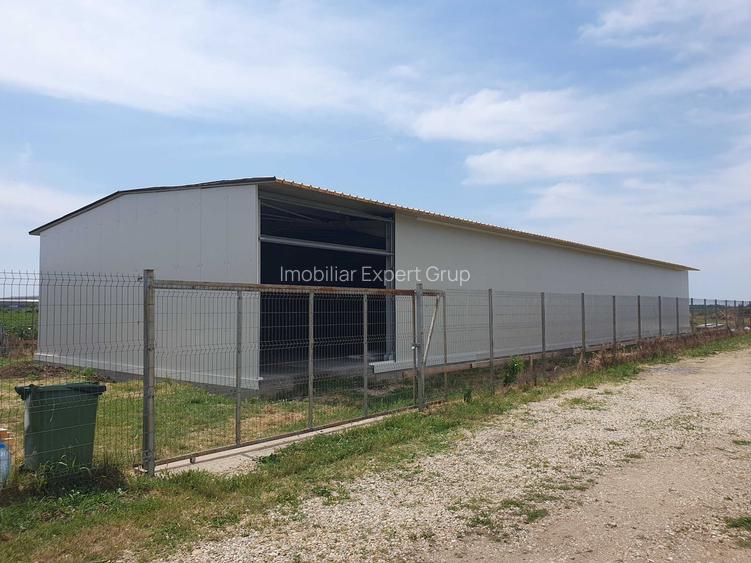 Popesti - hala noua pt depozitare/productie - 220mp - 3