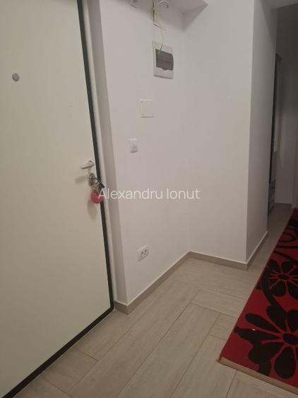 Apartament 2 camere decomandat, zona Tatarasi - 9
