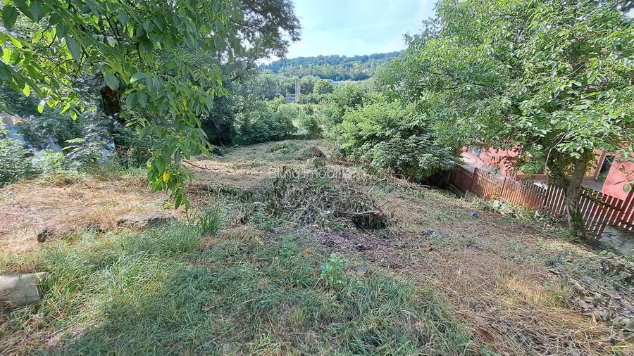 Teren pentru Casa/Duplex 1000mp Dambul Rotund/Cordos  - 2