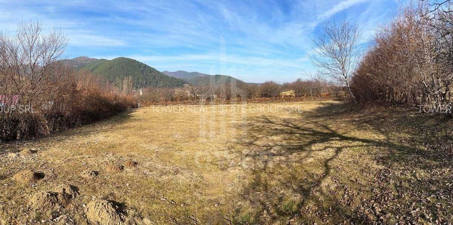 Teren intravilan 2.295 mp, deschidere 60 m – Rășinari, comision 0% - 3