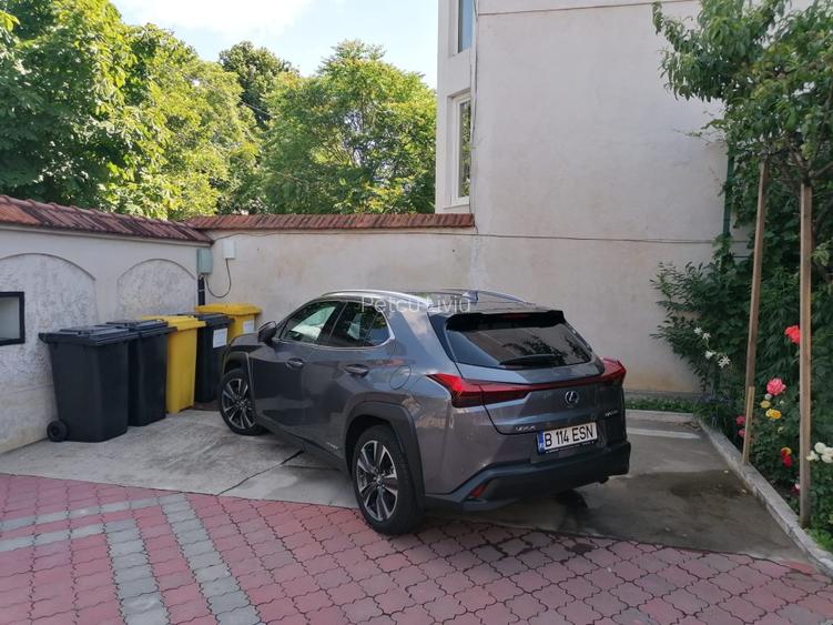 COTROCENI - Aici a visat și a creat pictorului Zamfir DUMITRESCU - 2