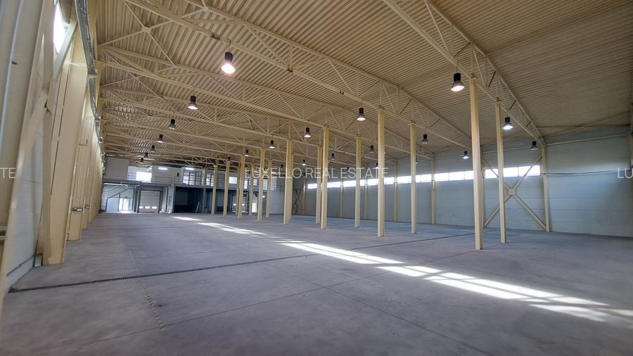 HALA DEPOZITARE CU ETAJ PARTIAL PENTRU BIROURI AMPLASAMENT: OTOPENI - 12