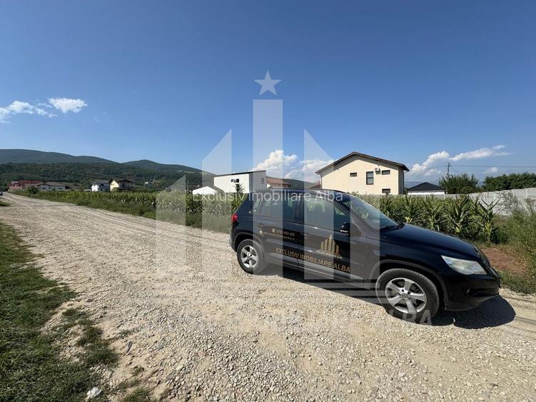 Teren intravilan | De vanzare | 5000 mp | 150 ml deschidere | Micesti - 5