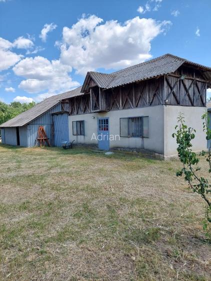 Vand casa cu livada in satul Ionesti Arges - 5