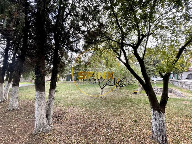 Vila Zoldy, 21.823 mp teren cu iesire catre paraul Prahova - 7