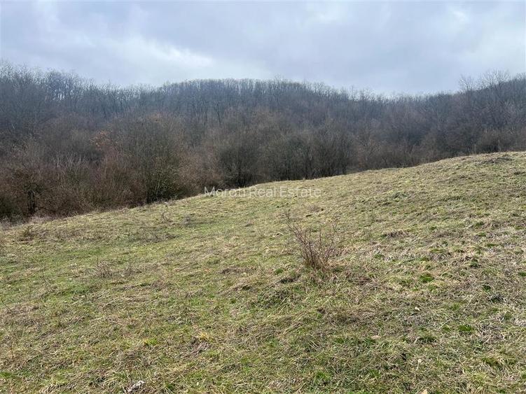 Teren intravilan si extravilan Luncoiu de Jos - 7