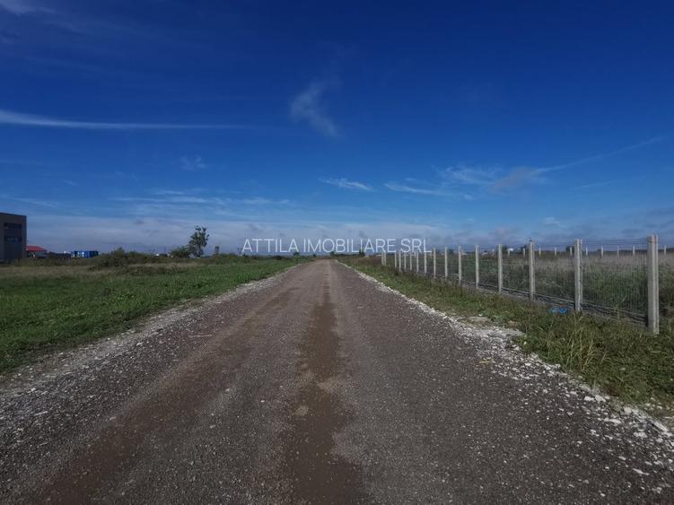 Dumbravita teren industrial 2581 mp - 5