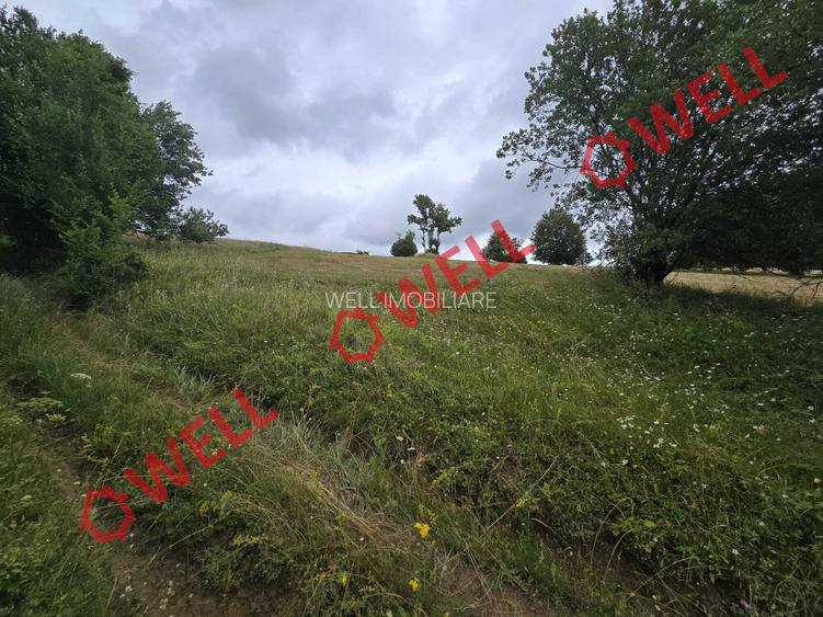 De vânzare teren extravilan loc. Sărămaș - 2