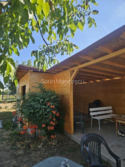 Proprietate imobiliara casa și teren în Criva de Sus - 3