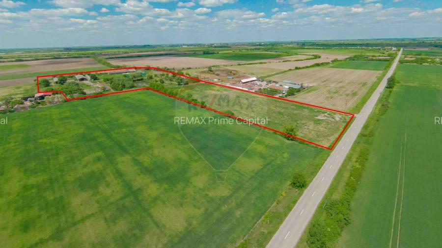 De vânzare fermă multifuncțională, teren 53883 mp - Salonta - 2